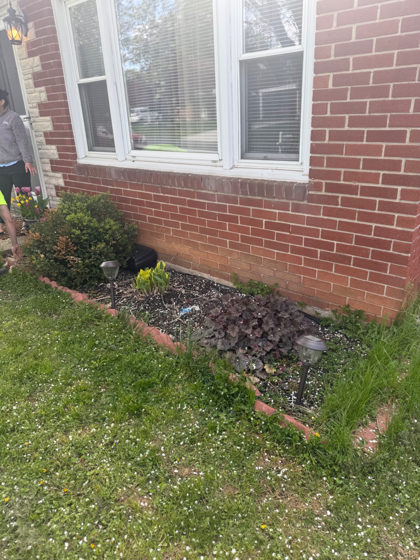Front bed mulch transformation before