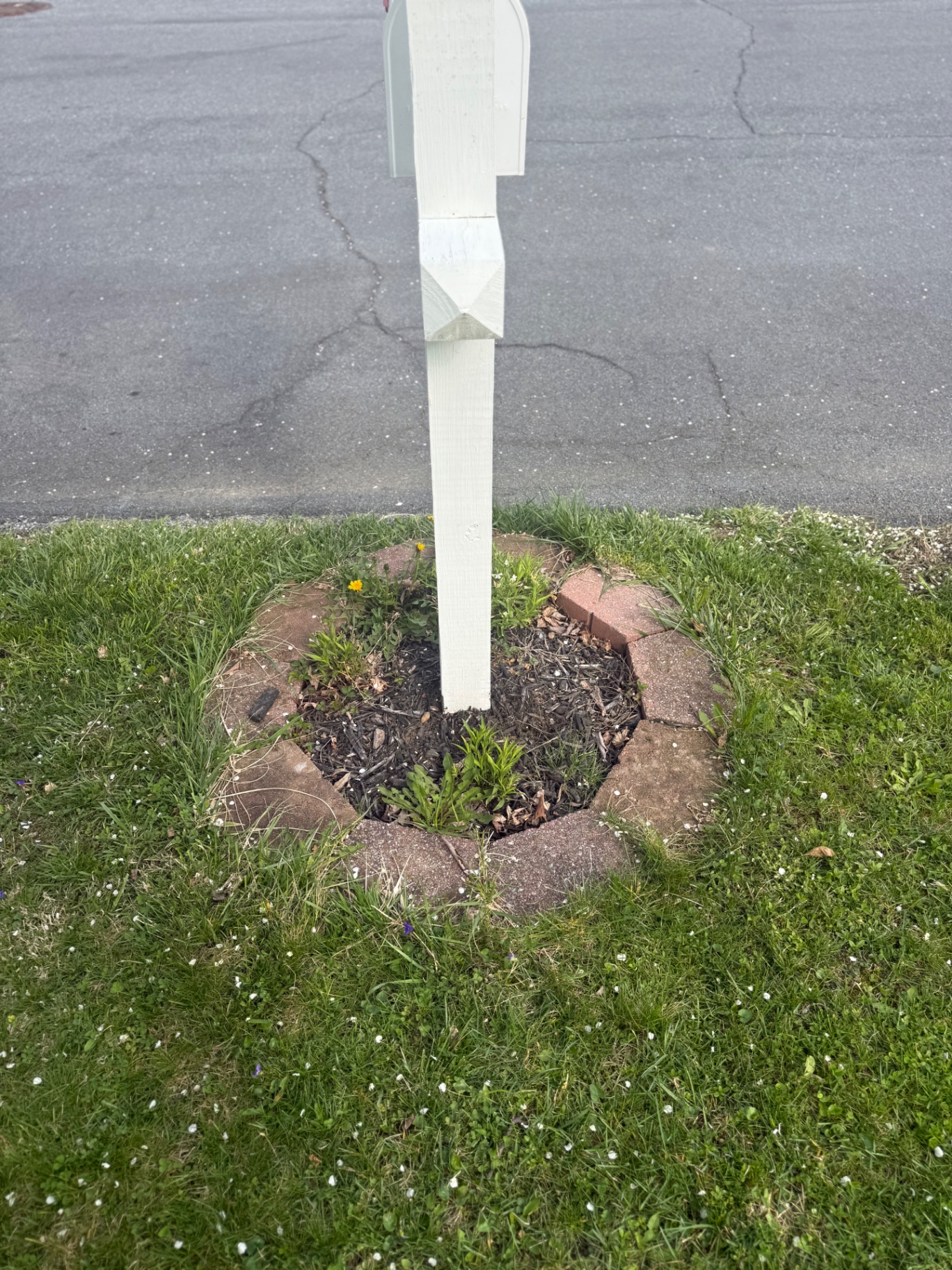 Mailbox bed refresh before