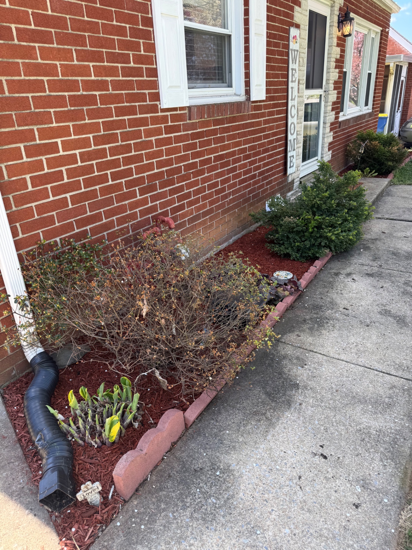 Walkway bed mulch transformation after