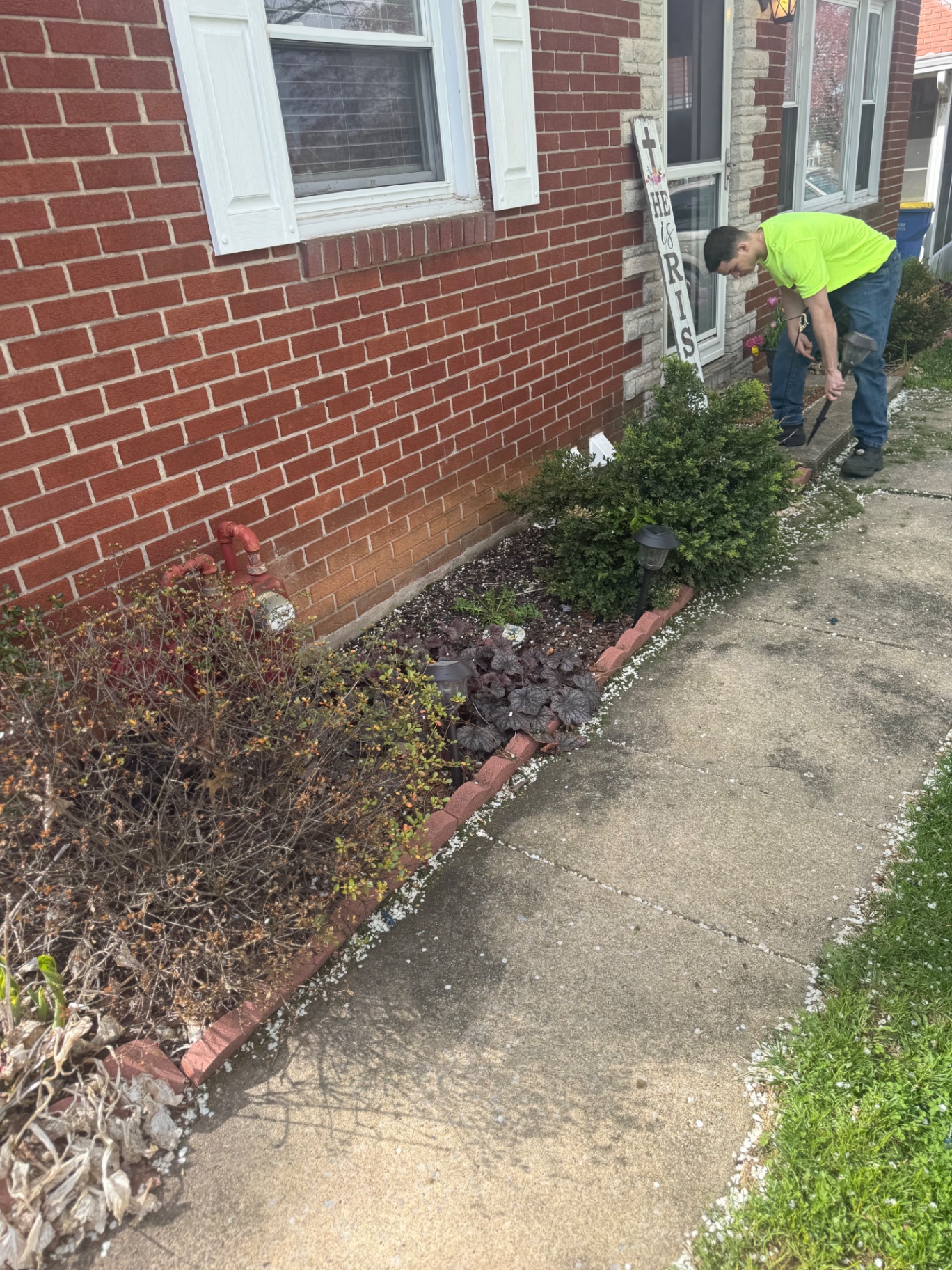 Walkway bed mulch transformation before